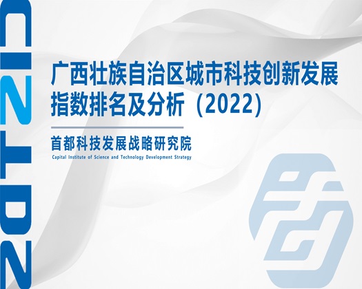 黄色小视频操逼【成果发布】广西壮族自治区城市科技创新发展指数排名及分析（2022）